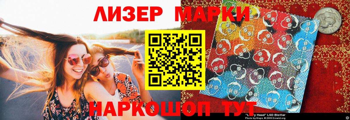 где можно купить наркотик  Наркотические марки 1,5мг  Вход с VPN  Заводоуковск 