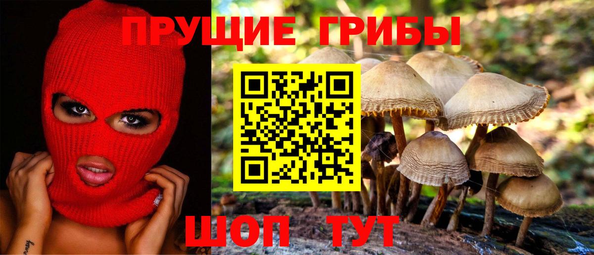 Галлюциногенные грибы ЛСД Заводоуковск